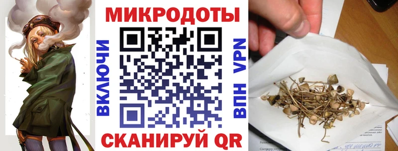 mega как зайти  Короча  Галлюциногенные грибы Psilocybe  купить  
